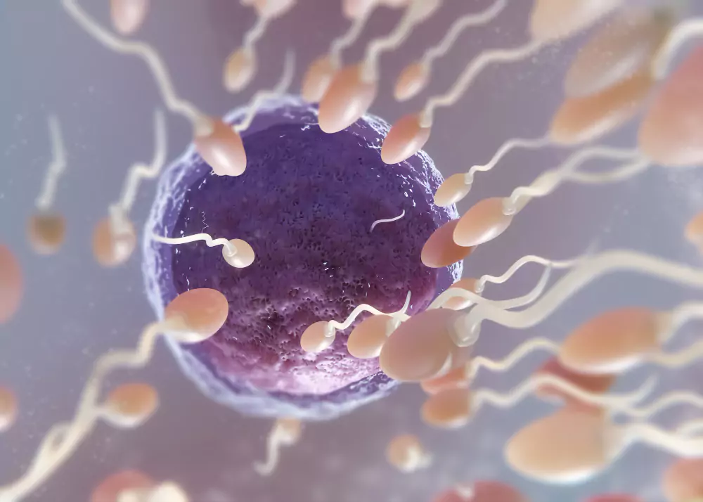 Infertility Support